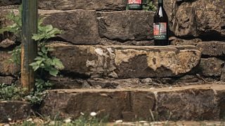 Cata de vinos y visita guiada en Colmello Di Grotta