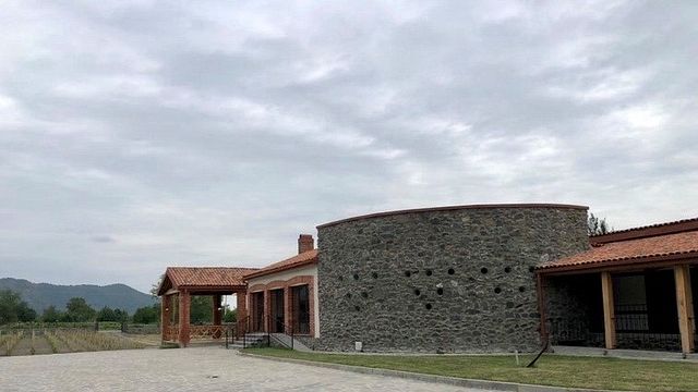 Degustación de vinos premium y recorrido en Mikheili's Marani