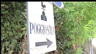 Degustação de vinhos e tour em Poggio Salvi