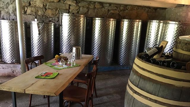 Cata de vinos populares y visita guiada en Rachuli de Pataridze
