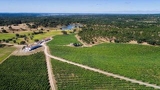 Besök ett agroforestry-ekosystem och smaka på vin och lokala produkter