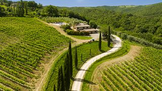 Casanuova delle Cerbaie Winery
