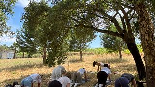 Yoga, meditazione e sapori regionali