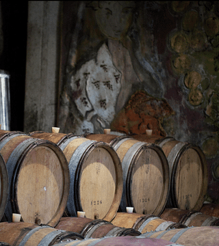 Wine Tasting and Tour at Château de Gaure