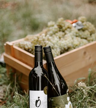 Weingut Österreicher