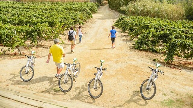 Private Wine Adventure with ebike from Barcelona
