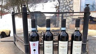 Weinprobe und Tour in der Azienda Agricola Oreste Stefano