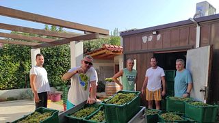 Descubra as vinícolas autênticas da região de Split