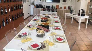 Cata de vinos y visita guiada en Cantine Campana