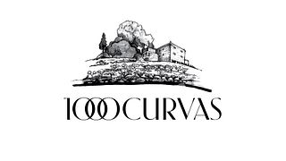 Esperienza di 1000 curve