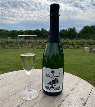 Degustação de vinhos na vinícola Calamus Estate