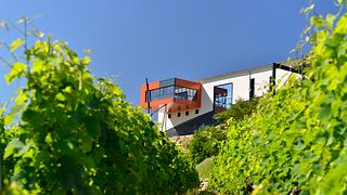 Saint-Émilion Grand Cru Classé: Visit & Wine Tasting with charcuterie and cheese