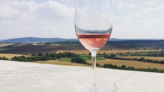 Vinprovningsresa till Mikulov vinregion