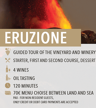Degustação de vinhos e almoço/jantar leve "Eruzione"