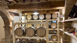 Visita y cata de vinos en la Bodega Colonna en el Valle Superior del Tíber
