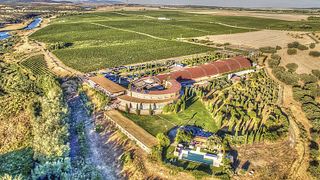 Degustação de vinhos e tour no Pago Del Vicario