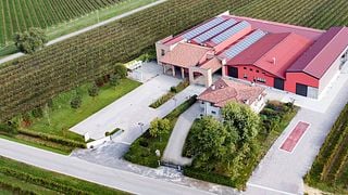 Degustação de vinhos populares e tour no Le Carline