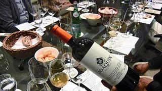 Visite et dégustation de vins Joaquin