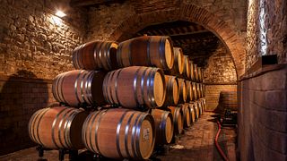 Amanti del vino | Rocca di Castagnoli