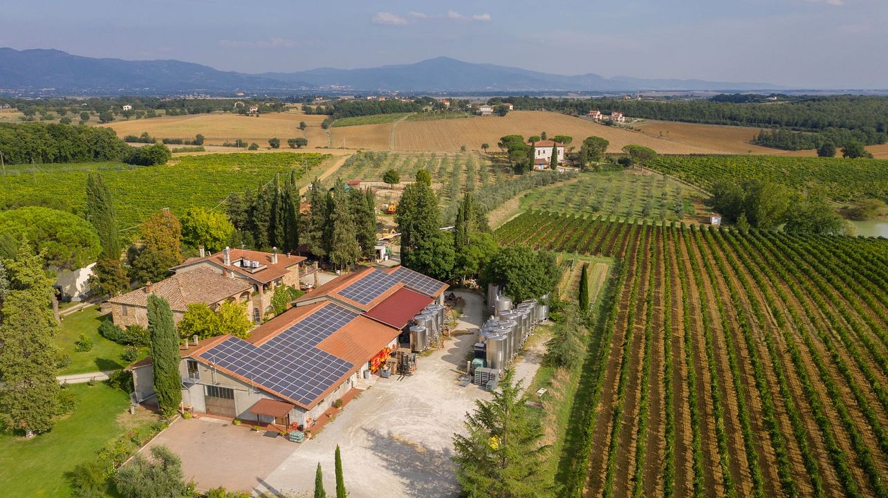 San Luciano Vini di Toscana