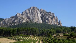 Degustazione di vini e visita alle Bodegas Señorío de Lebanon