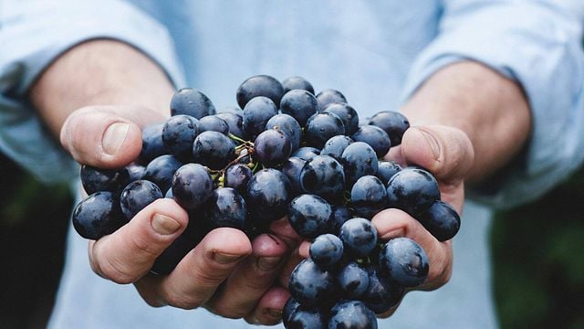 Premium-Weinprobe in der Bodega Latarce