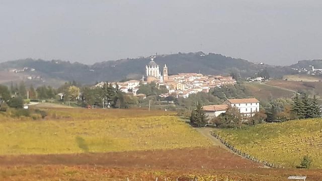Visite et dégustation de vins à l'Azienda Vitivinivola Urscheler Roberto