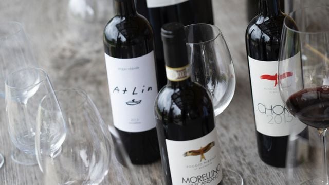 Dégustation de vins et visite à l'Azienda Agricola Poggio Nibbiale