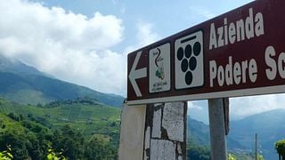 Podere Scurtarola