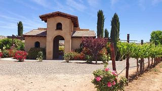 Alcantara Vineyards