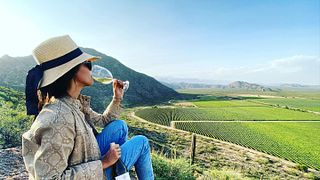 Unforgettable Wine Tasting at Chañarmuyo Wine Lodge