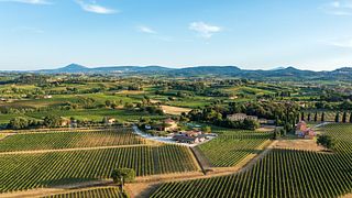 Montepulciano: Almuerzo con vino en una bodega toscana