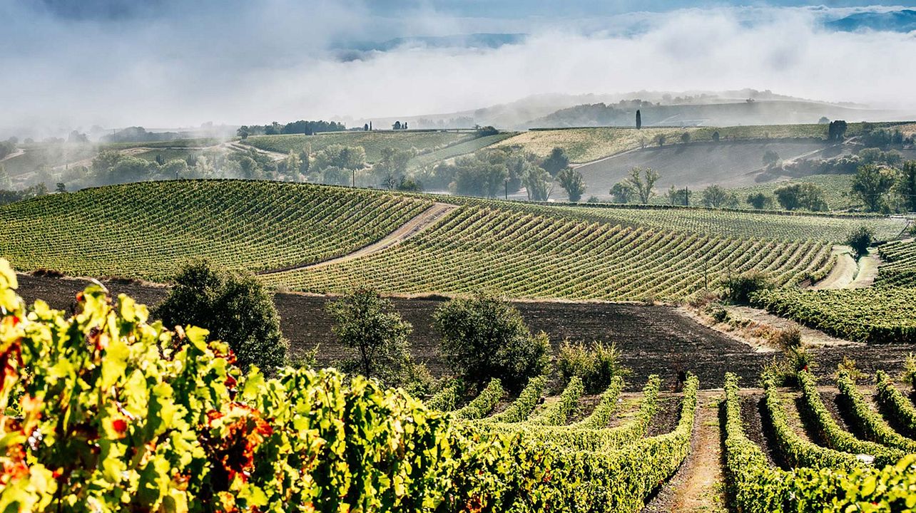 Domaine Girard