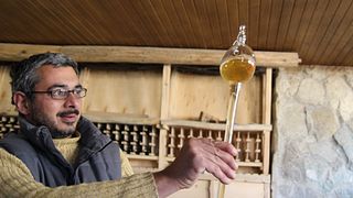 Degustação de vinhos em adega profunda