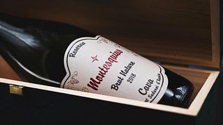 Visita privada a Montesquius