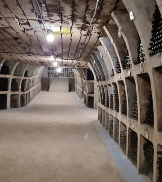 Utflykt till Cricova och Milestii Mici vingårdar med vinprovning