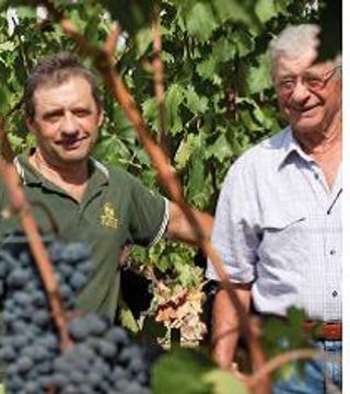 Degustação de vinhos e tour no Fattoi Ofelio E Figli