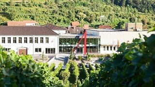 Winzergenossenschaft Achkarren Im Kaiserstuhl
