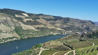 Rapprochez-vous du Douro