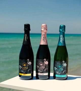 Veneto Vino Voyage: Prosecco & Vineyard Cellar Tour
