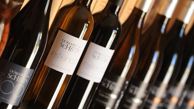 Languedoc-Roussillon Vineyard Tour & Tasting at Domaine des Schistes