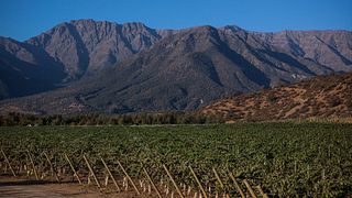 Santa Ema Winery