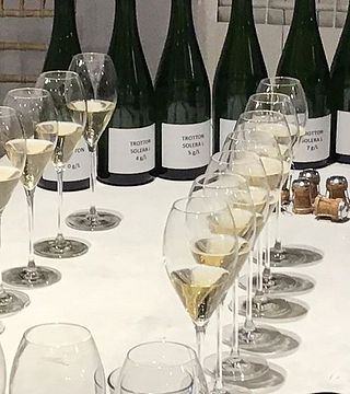 Degustação de vinhos e passeio em Trotton Estate Vineyards