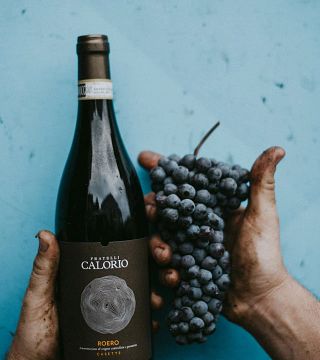 Fratelli Calorio Winery