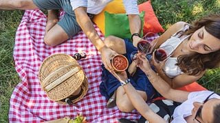 Pic Nic in Vigna