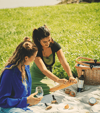 Picknick i vingården på Château Loudenne