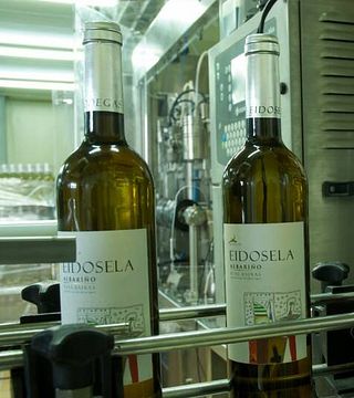 Cata y Visita de Vinos en Bodegas Eidosela