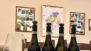 Degustación de vinos y visita a la empresa agrícola Piercarlo Culasso.
