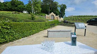 Degustação de champanhe e piquenique no vinhedo de Champagne Oriol-Dérouillat