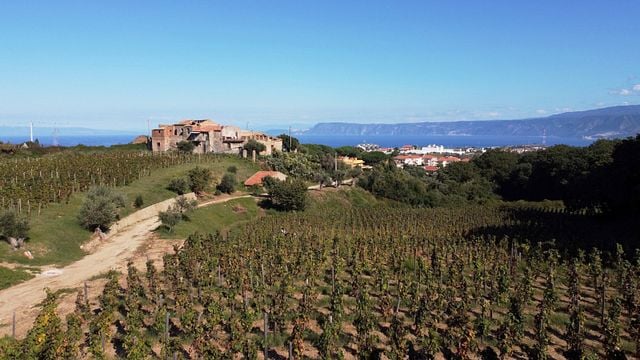 Weinprobe und Tour im Le Casemmatte